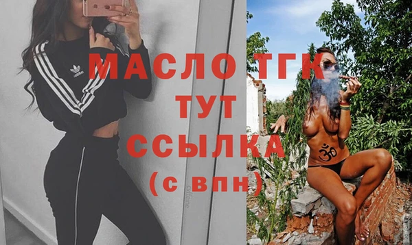 индика Армянск