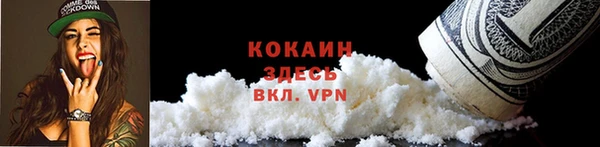 стаф Арсеньев