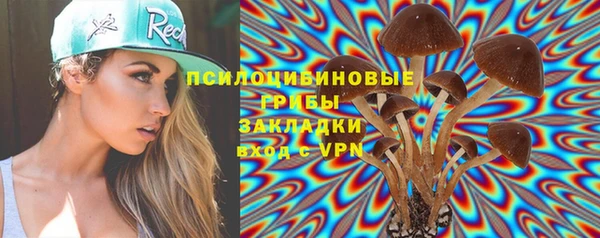 индика Армянск