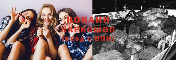 стаф Арсеньев