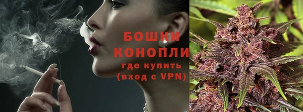 ешки Аркадак