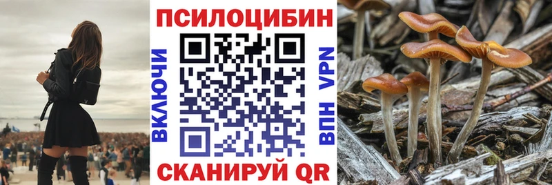 ссылка на мегу маркетплейс  Петухово  Галлюциногенные грибы Cubensis  купить  